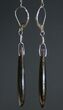 Black Spiderweb Dinosaur Bone Earrings #5253-7